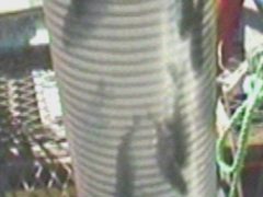 Maguera Peces 1